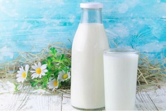 dairy products
